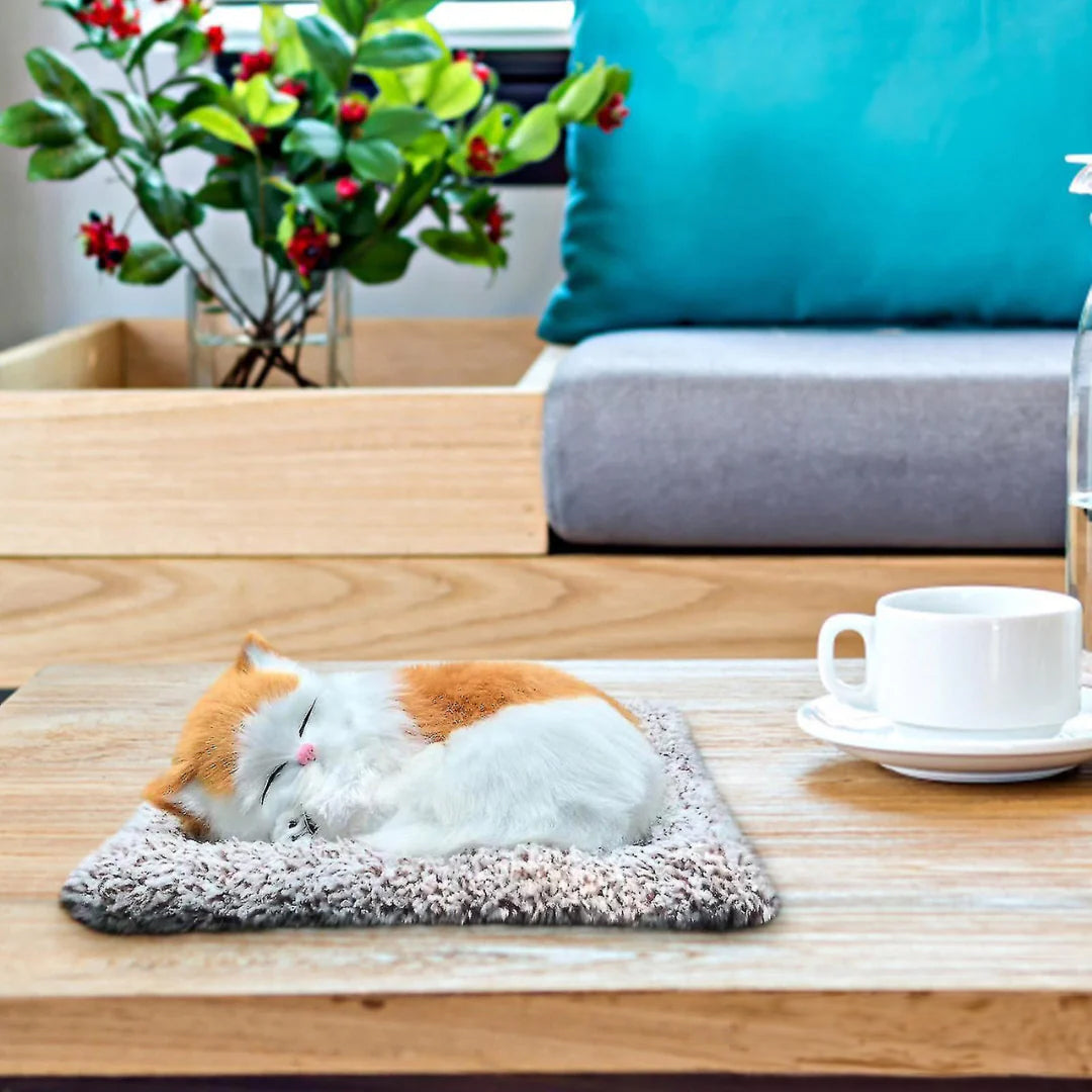 Cute Cat sleeping on a mat