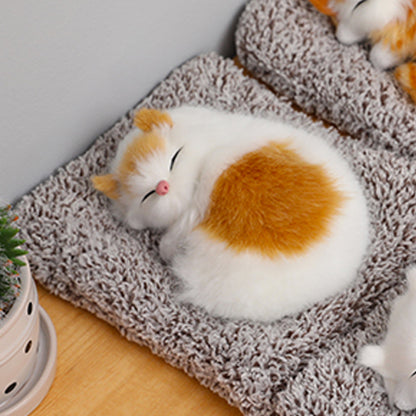 Cute Cat sleeping on a mat