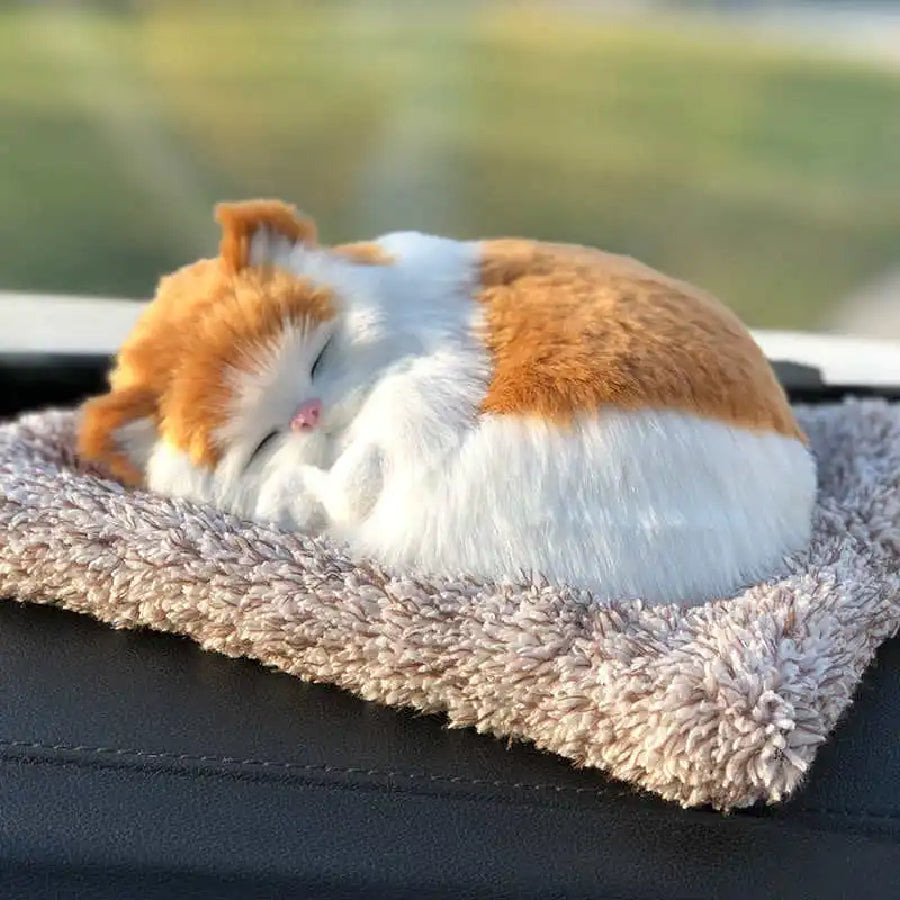 Cute Cat sleeping on a mat